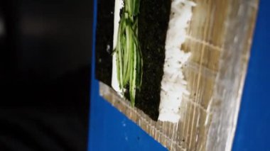 Suşi adam suşi hazırlıyor. Ellerinizi yakın tutun. Suşi ve ekmek hazırlama kavramı. Dikey video