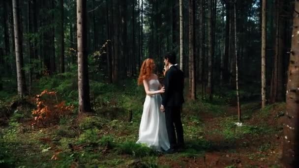 Een Bruid Met Rood Haar Poseert Met Bruidegom Een Dennenbos — Stockvideo