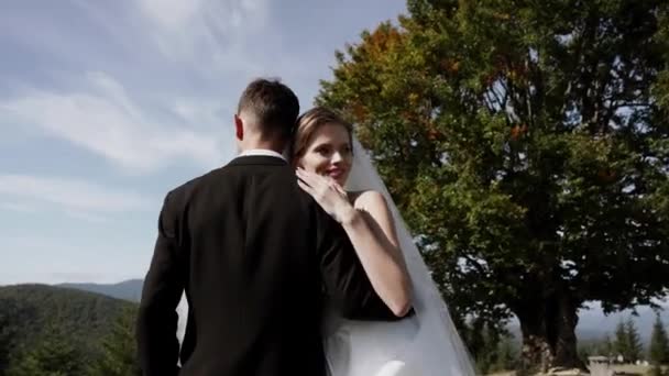 Casal Elegante Amor Posando Uma Sessão Fotos Casamento Conceito Dia — Vídeo de Stock