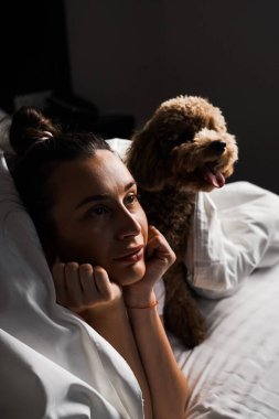 Genç bir kadın yatakta oyuncak köpekle oynuyor ve poz veriyor. Hayvanlarla arkadaşlık kavramı.