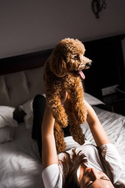 Genç bir kadın yatakta oyuncak köpekle oynuyor ve poz veriyor. Hayvanlarla arkadaşlık kavramı.