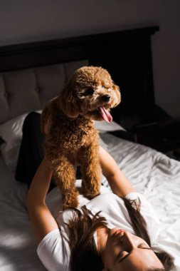 Genç bir kadın yatakta oyuncak köpekle oynuyor ve poz veriyor. Hayvanlarla arkadaşlık kavramı.