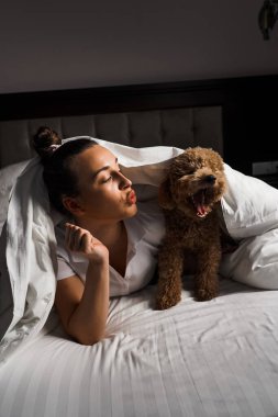 Genç bir kadın yatakta oyuncak köpekle oynuyor ve poz veriyor. Hayvanlarla arkadaşlık kavramı.