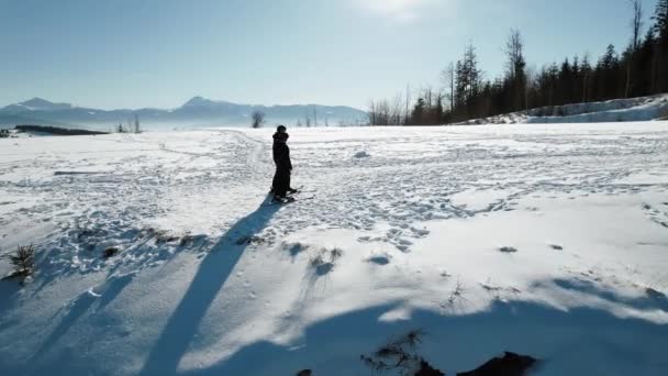 남자와 여자는 스키를 전망을 즐기고 산에서 휴가의 개념입니다 무인비행기 — 비디오