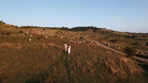 花嫁と花嫁は日没の美しい場所を歩いています 結婚式の日から 結婚式のコンセプト ドローン4Kからのフレーム — ストック動画