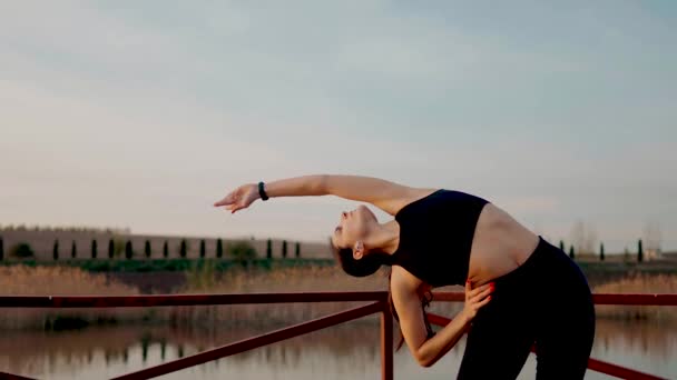 Junge Athletische Frau Beim Fitnesstraining Park See Bei Sonnenuntergang Sportliches — Stockvideo