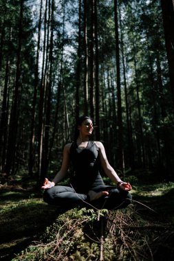 Genç bir kadın ormanda yoga yapıyor ve meditasyon yapıyor. Yoga ve meditasyon konsepti. Yoga asanas. 