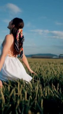 Beyaz elbiseli güzel bir kadın yeşil buğday tarlasında poz veriyor ve dans ediyor. Özgürlük kavramı. Dikey video