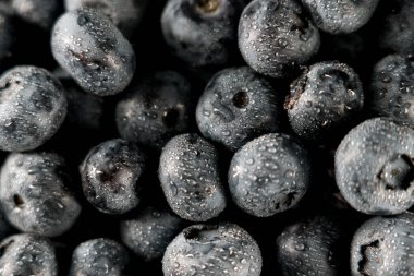 Siyah bir arka plan üzerinde yaban mersini