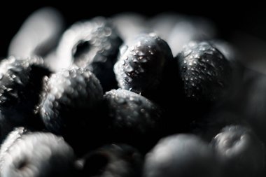 Siyah bir arka plan üzerinde yaban mersini