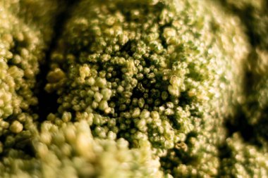 Siyah arka planda tabakta taze brokoli. Sağlıklı beslenme konsepti.