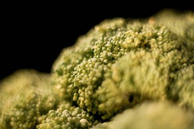 Siyah arka planda tabakta taze brokoli. Sağlıklı beslenme konsepti.