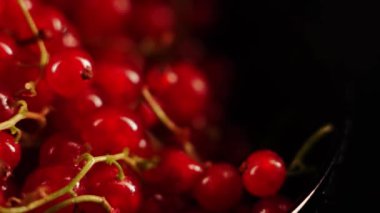 Kırmızı frenk üzümü siyah arka planda bir tabakta döner. Frenk üzümü izole edildi. Çilek konsepti 4k