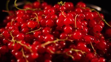 Kırmızı frenk üzümü siyah arka planda bir tabakta döner. Frenk üzümü izole edildi. Çilek konsepti 4k