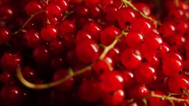 Kırmızı frenk üzümü siyah arka planda bir tabakta döner. Frenk üzümü izole edildi. Çilek konsepti 4k