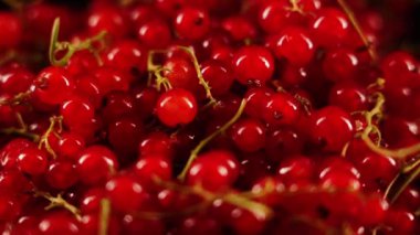 Kırmızı frenk üzümü siyah arka planda bir tabakta döner. Frenk üzümü izole edildi. Çilek konsepti 4k