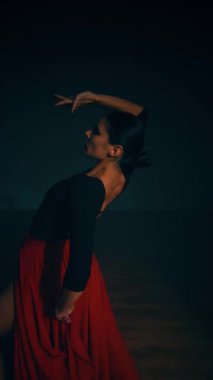 Kırmızı elbiseli bir kadın stüdyoda dumanların içinde ateşli bir İspanyol dansı yapıyor. Samba, Rumba. Dans konsepti. Dikey video