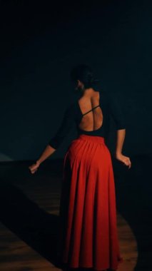 Kırmızı elbiseli bir kadın stüdyoda dumanların içinde ateşli bir İspanyol dansı yapıyor. Samba, Rumba. Dans konsepti. Dikey video