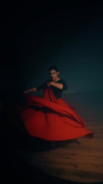 Kırmızı elbiseli bir kadın stüdyoda dumanların içinde ateşli bir İspanyol dansı yapıyor. Samba, Rumba. Dans konsepti. Dikey video