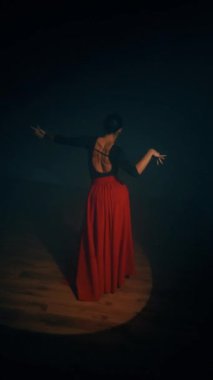 Kırmızı elbiseli bir kadın stüdyoda dumanların içinde ateşli bir İspanyol dansı yapıyor. Samba, Rumba. Dans konsepti. Dikey video