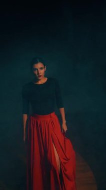 Kırmızı elbiseli bir kadın stüdyoda dumanların içinde ateşli bir İspanyol dansı yapıyor. Samba, Rumba. Dans konsepti. Dikey video