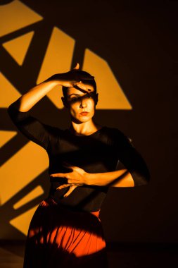 Dansçı bir kadın arka planda gobo maskelerin aydınlatılmasına karşı poz veriyor. Bir kadın İspanyol dansı yapıyor. Koreografi ve dans konsepti