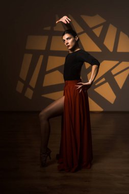 Dansçı bir kadın arka planda gobo maskelerin aydınlatılmasına karşı poz veriyor. Bir kadın İspanyol dansı yapıyor. Koreografi ve dans konsepti