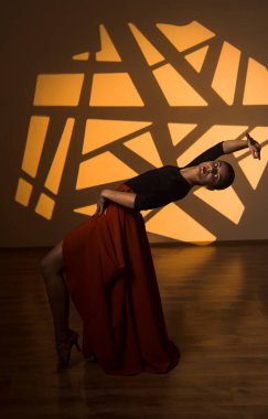 Dansçı bir kadın arka planda gobo maskelerin aydınlatılmasına karşı poz veriyor. Bir kadın İspanyol dansı yapıyor. Koreografi ve dans konsepti