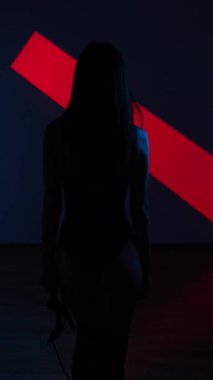 Neon ışıkta poz veren BDSM maskeli seksi kadın. BDSM konsepti. Sevgililer Günü. Kedi Kadın. Dikey video