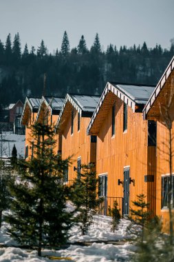 Kış mevsiminde ahşap aksanlı modern mimarinin yer aldığı dağ manzarası, karla kaplı arazi ve ormanları gözler önüne seriyor