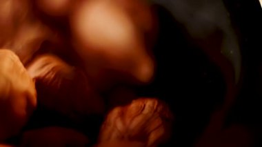 Fındıklar, doğal güzelliklerini ve dokularını sergileyerek, rahat bir ortamda bir tabakta yuvarlanıyor ve dönüyorlar.