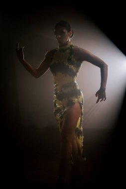 Şehvetli Latin dansçı dumanlı atmosferde dramatik ışıklandırma ile Latin dansına olan tutkusunu ve yeteneğini gösteriyor.