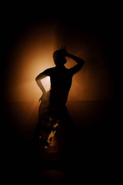 Şehvetli Latin dansçı dumanlı atmosferde dramatik ışıklandırma ile Latin dansına olan tutkusunu ve yeteneğini gösteriyor.