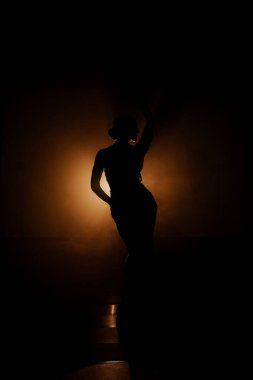 Şehvetli Latin dansçı dumanlı atmosferde dramatik ışıklandırma ile Latin dansına olan tutkusunu ve yeteneğini gösteriyor.