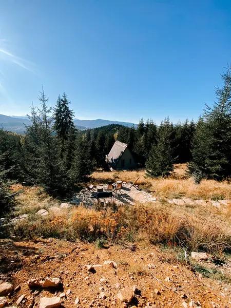 Güneşli bir arazide, yemyeşil ağaçların arasına kurulmuş güzel dağ kulübesi.