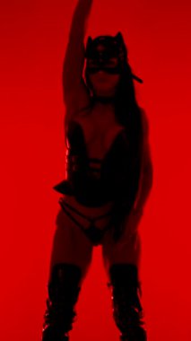 Kadın dansçılar, çarpıcı kırmızı ışık altında kedi kostümü içinde büyüleyici hareketler sergilerler.