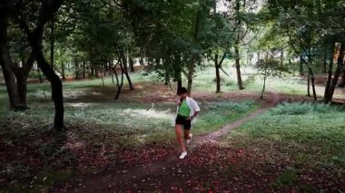 Güneşli bir günde sakin yeşil bir parkta orman yolunda yürümek.