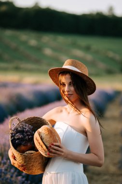 Hasır şapkalı kadın gün batımında lavanta tarlasında lavanta ve ekmek topluyor.