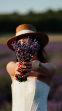 Altın saat boyunca lavanta tarlasında doğanın güzelliğini kutlarız.