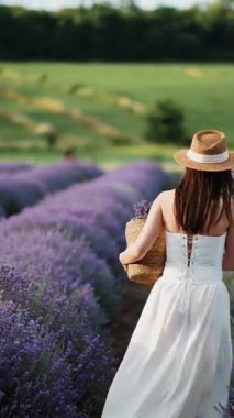 Ilık gün ışığında dokunmuş sepet taşırken lavanta tarlalarını keşfetmek