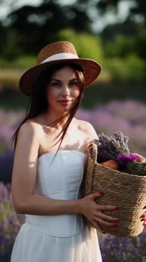 Yaz öğleden sonra güneşli bir tarlada lavanta yetiştirmek ve çiçek toplamak.