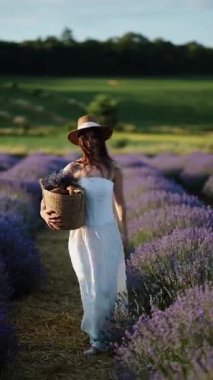 Yazın bir sepet çiçek taşırken lavanta tarlasında yürümek