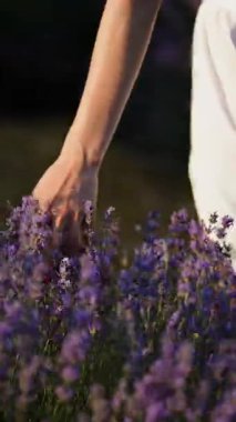 Gün batımında huzurlu bir bahçede lavanta çiçeklerine nazikçe dokunuyorum.