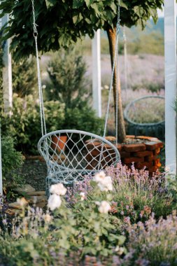 Bahçe salıncak çiçek açan lavanta ve yemyeşil yaz güneşiyle çevrili.