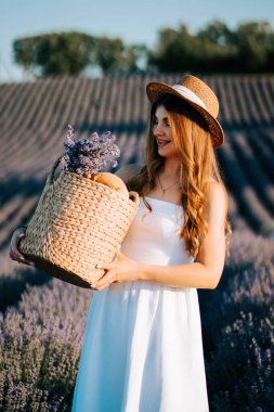 Beyaz elbiseli kadın yaz lavanta tarlasında bir sepet lavanta çiçeği taşıyor.