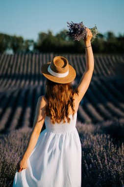 Beyaz elbiseli kadın gün batımında lavanta tarlasında çiçek tutuyor.