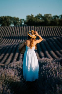 Gün batımında lavanta tarlasında yürüyen beyaz elbiseli ve hasır şapkalı bir kadın.