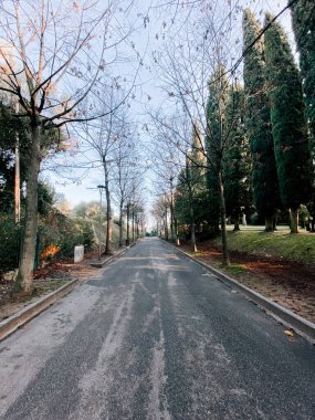 Çıplak ağaçlarla kaplı sessiz patika, sakin bir park ortamındaki uzak yeşil alana çıkar.