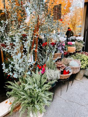 Şehirde sakin bir sonbahar öğleden sonrasında bir mağazanın önünde renkli bir çiçek sergisi.