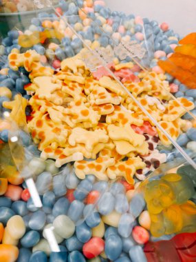 Şekerci dükkanının parlak bir vitrininde renkli şekerlemeler.